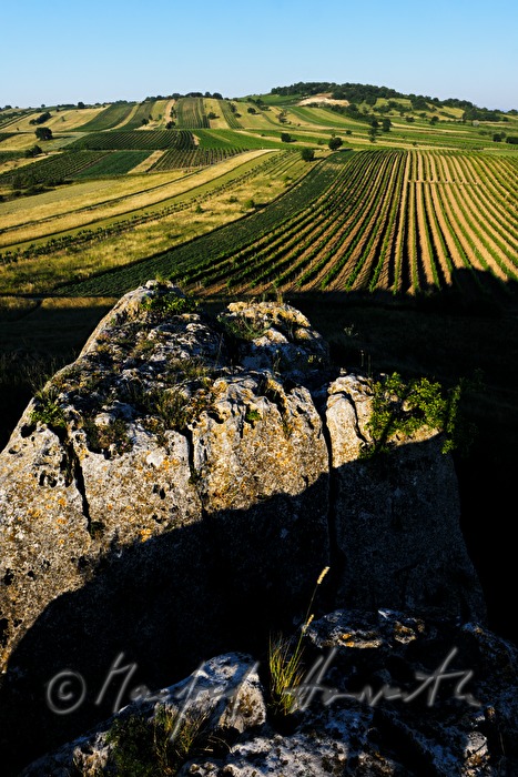 Blick vom Hölzelstein zum Leithagebirge
