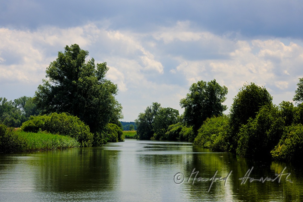 Auenlandschaft beim Kölpingsee