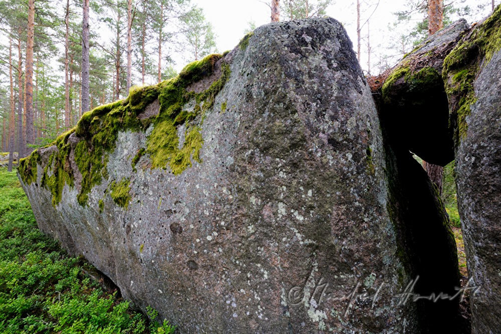 moos- und flechtenbewachsene Granitfindlinge