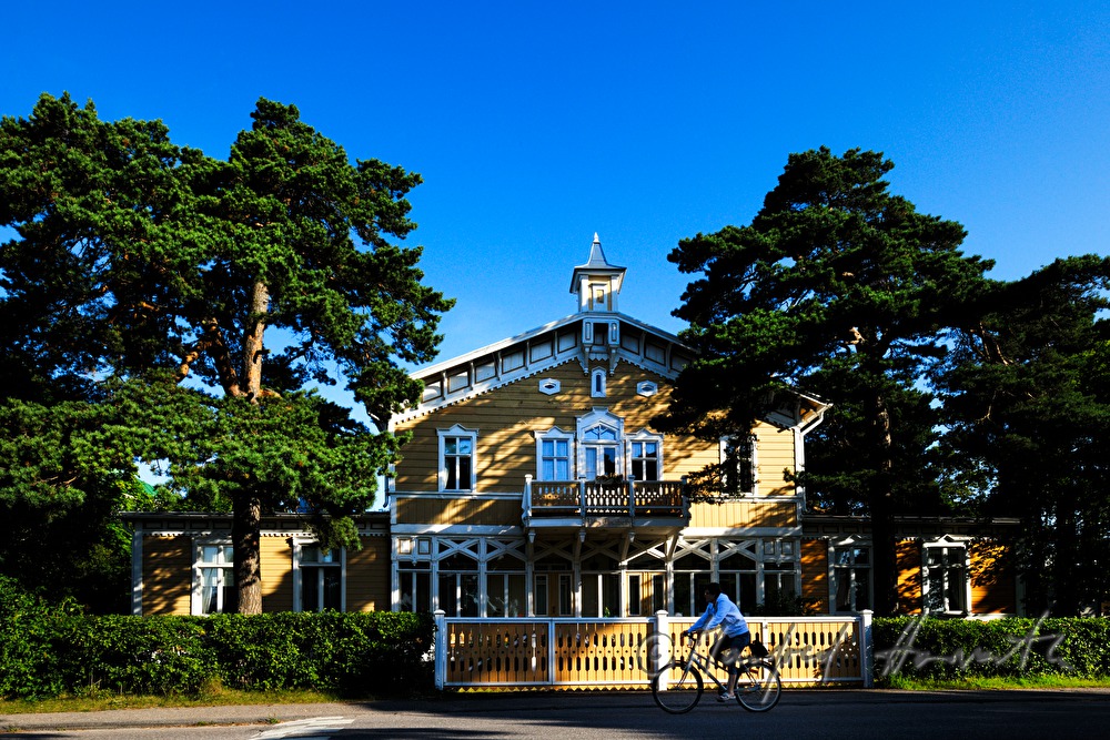 Villa Elisabeth in der Appelgrenintie Strasse