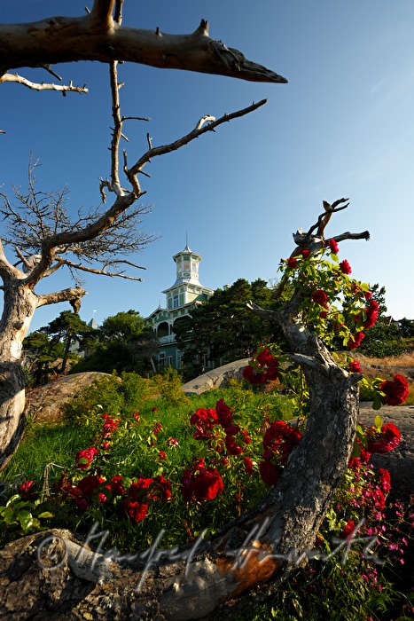 Hotel Villa Tellina an der Felsenküste der Ostsee