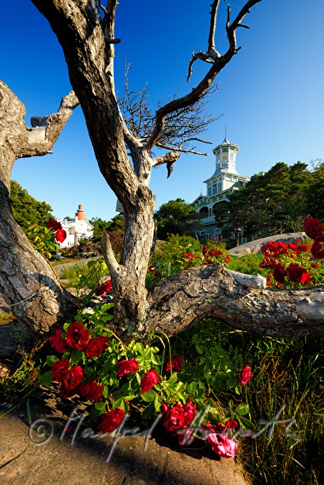 Hotel Villa Tellina an der Felsenküste der Ostsee