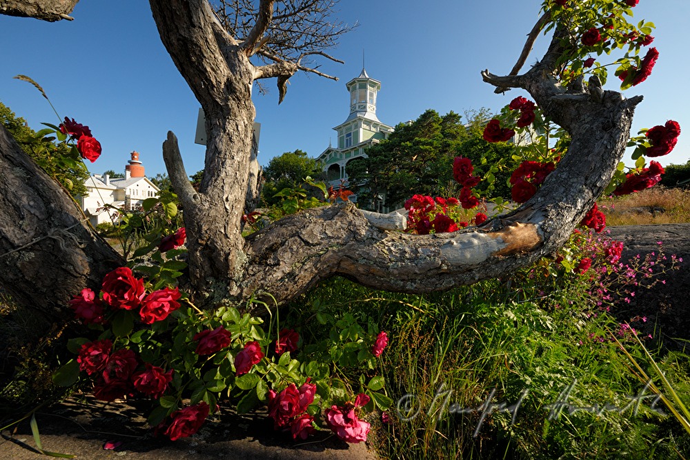 Hotel Villa Tellina an der Felsenküste der Ostsee