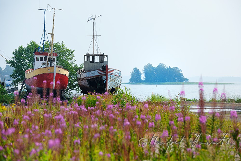Schiffsfriedhof und Insel
