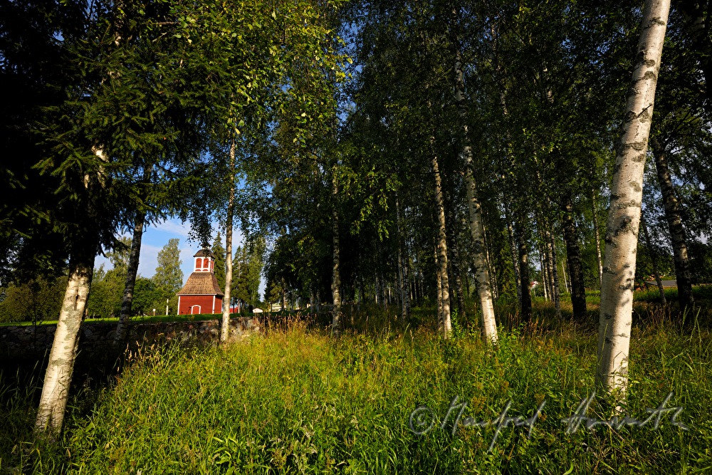 Kirche Kirkkoniemen kellotapuli und Birken im Park