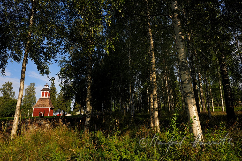 Kirche Kirkkoniemen kellotapuli und Birken im Park