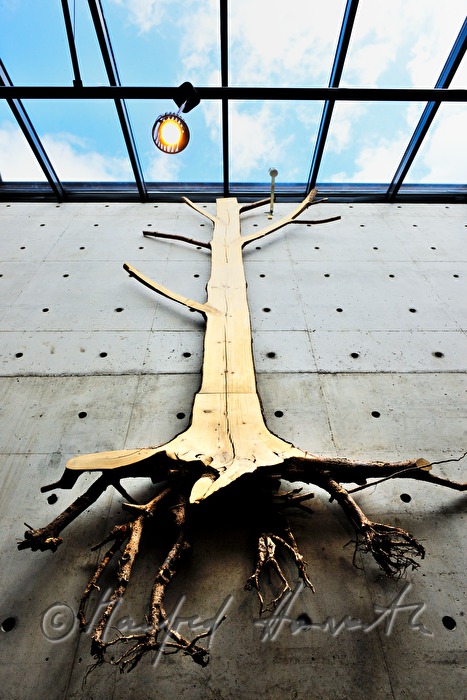 Kunst aus Holz im Finnischen Forstmuseum Lusto
