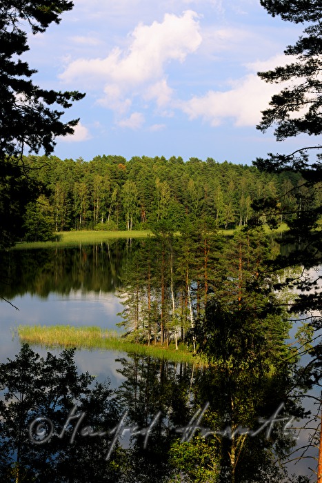 kleine Insel im See Pihlajavesi