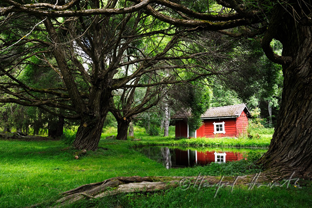rotes Blockhaus am See und kugelig geschnittene Weiden