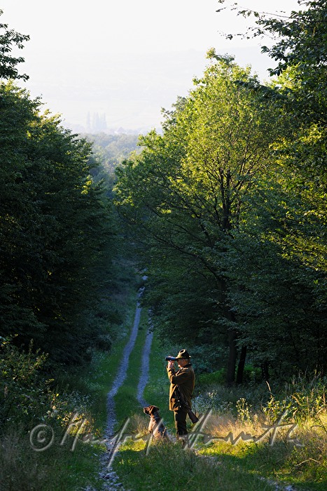 Jäger mit Hund bei einem Hochstand