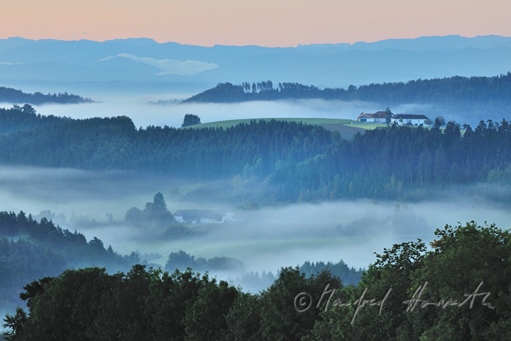 Blick von Pregrabendorf Richtung Süden