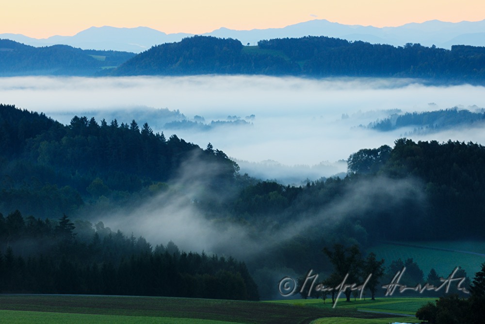 Blick von Pregrabendorf Richtung Süden