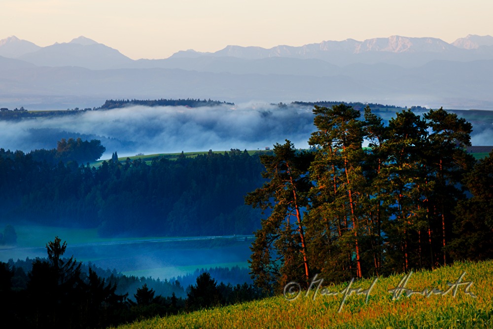 Blick von Pregrabendorf Richtung Süden