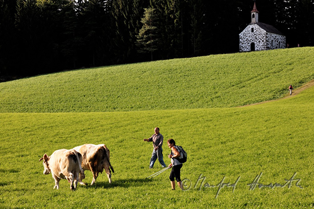 Kuhhirte und Wandererin bei der Kapelle