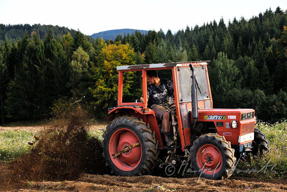 Traktor im Kartoffelfeld hebt die Knollen aus