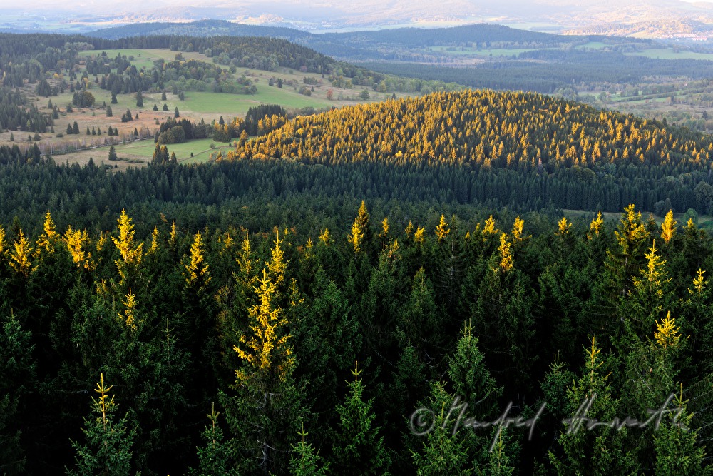 Blick vom Klaffer zur Moldau (