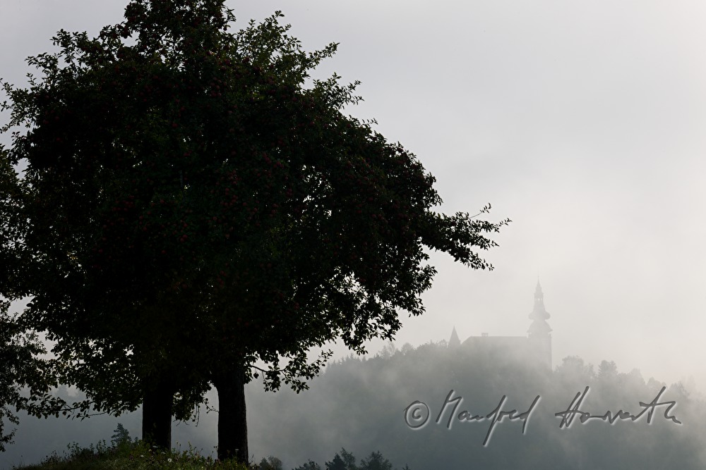 Schloss Weinberg auf dem Hügel im Morgennebel