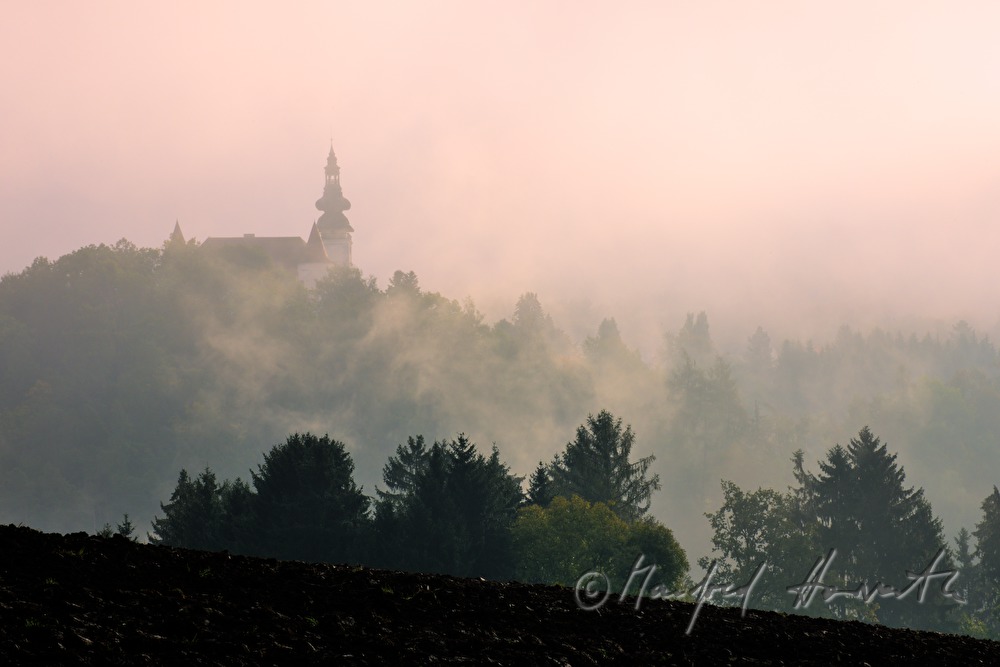 Schloss Weinberg auf dem Hügel im Morgennebel
