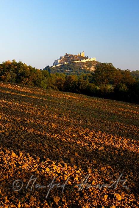 Burgruine Staatz  aus dem 11. Jahrhundert