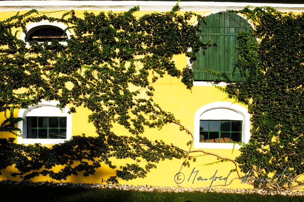 Fenster und Fensterläden an einem Stall