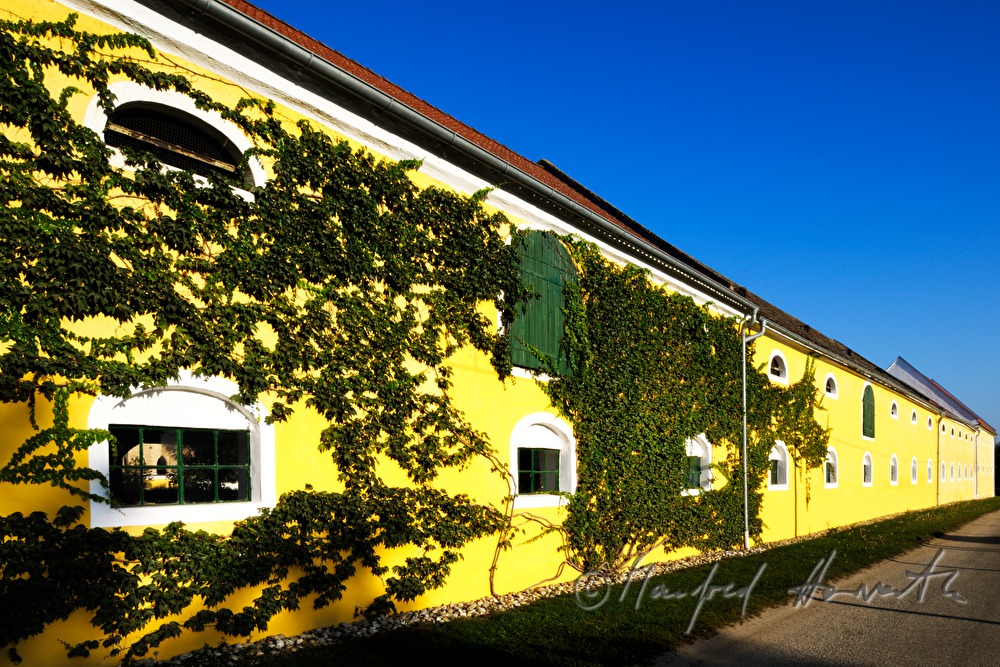 Fenster und Fensterläden an einem Stall