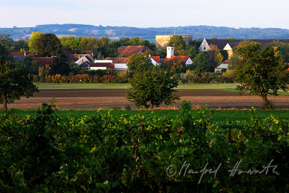 Dorf-Ansicht und Weingärten