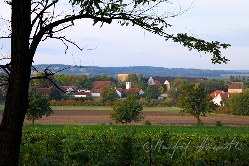 Dorf-Ansicht und Weingärten