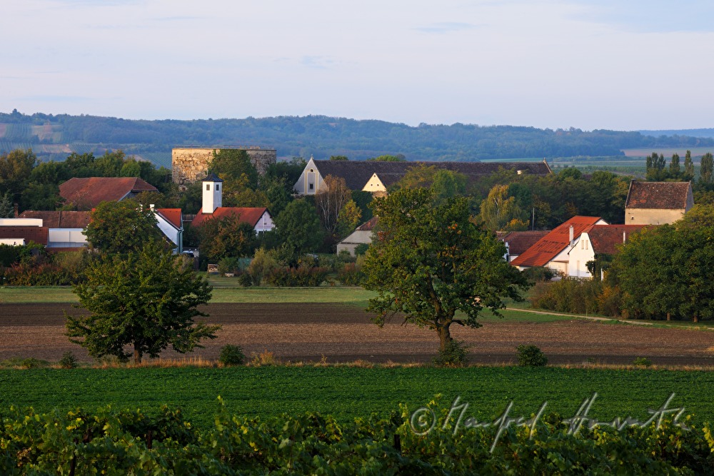 Dorf-Ansicht und Weingärten
