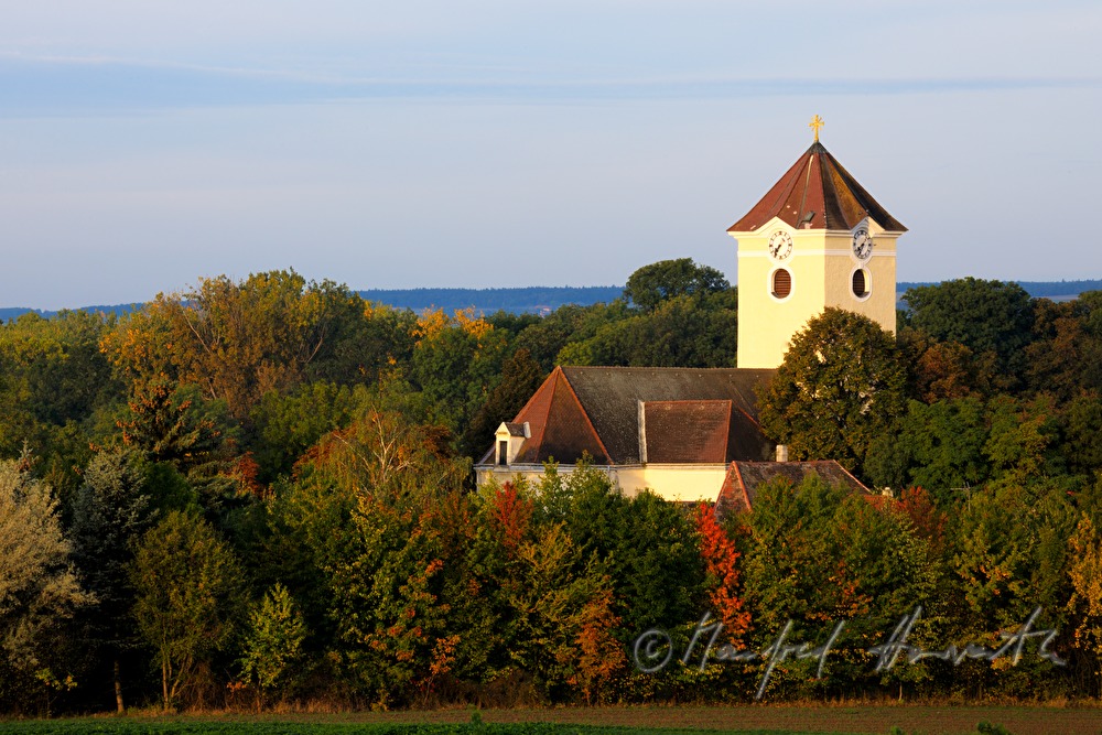 von einem kleinen Wald umgebene Kirche