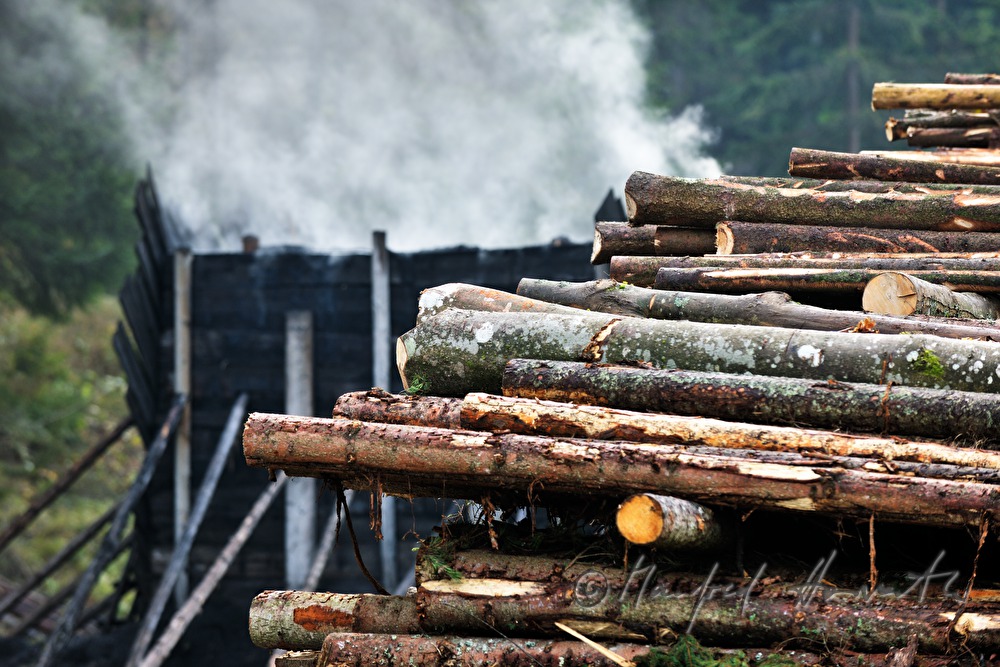 Holzkohleherstellung bei der Köhlerei Wieser