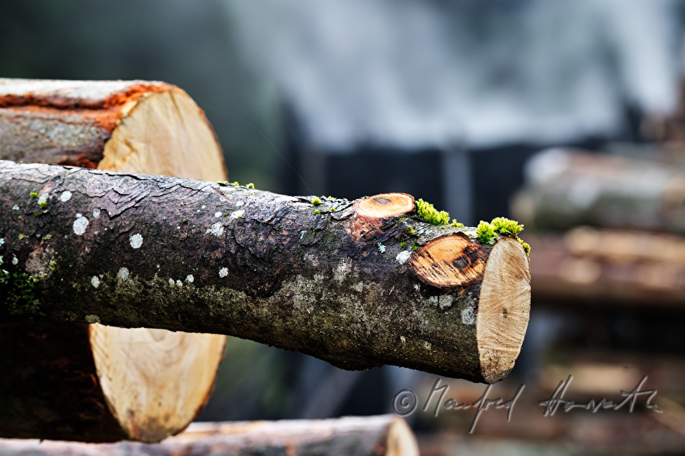 Holzkohleherstellung bei der Köhlerei Wieser
