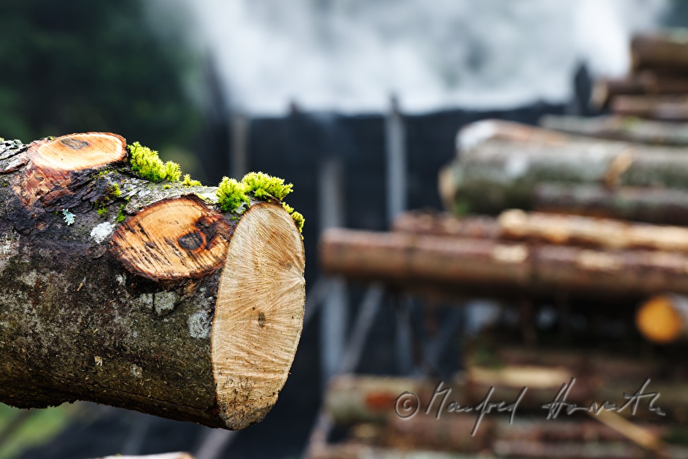 Holzkohleherstellung bei der Köhlerei Wieser