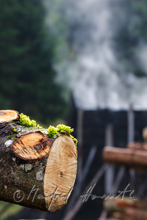 Holzkohleherstellung bei der Köhlerei Wieser