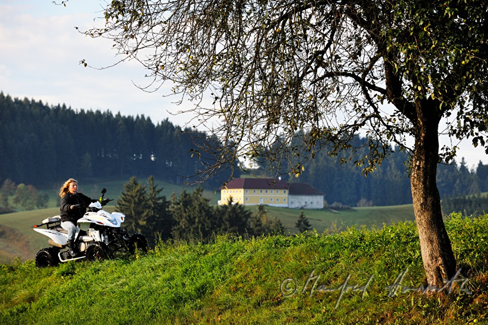 Bäuerin fährt mit ATV über die Weide