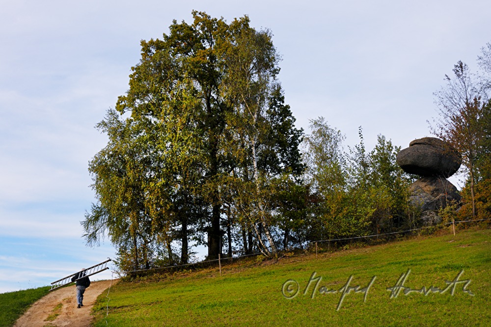 Schwammerling Stein im Naturpark Mühlviertel
