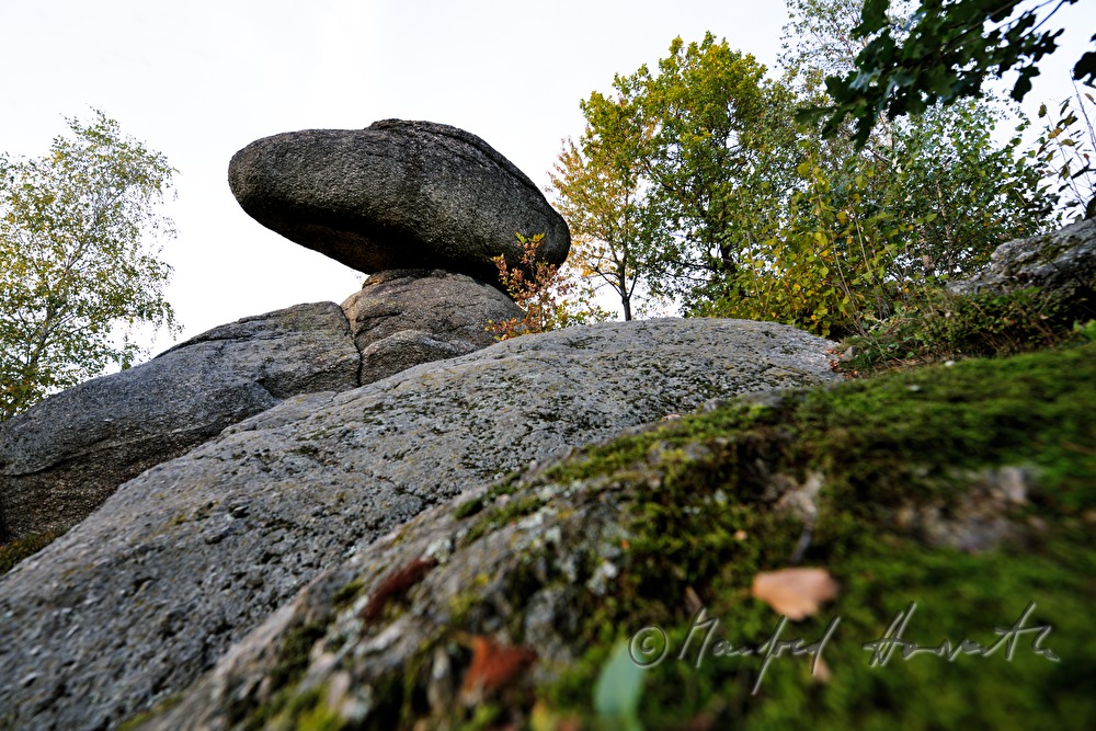 Schwammerling Stein im Naturpark Mühlviertel
