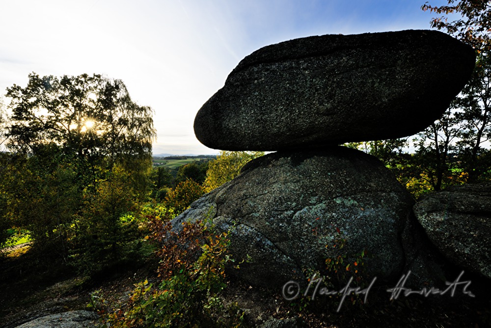 Schwammerling Stein im Naturpark Mühlviertel