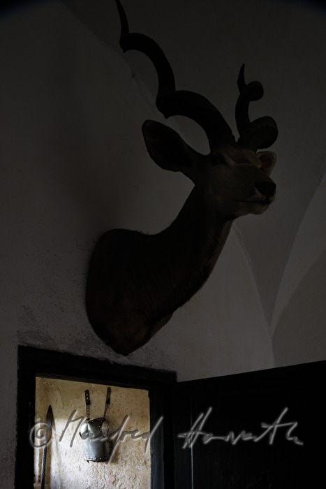 Hirschgeweih und Ritterrüstung im Museum