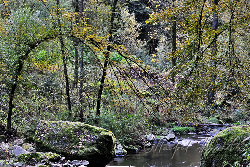Granitblöcke am Ufer des Klambaches