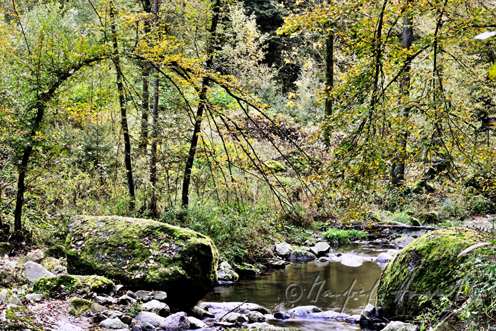 Granitblöcke am Ufer des Klambaches