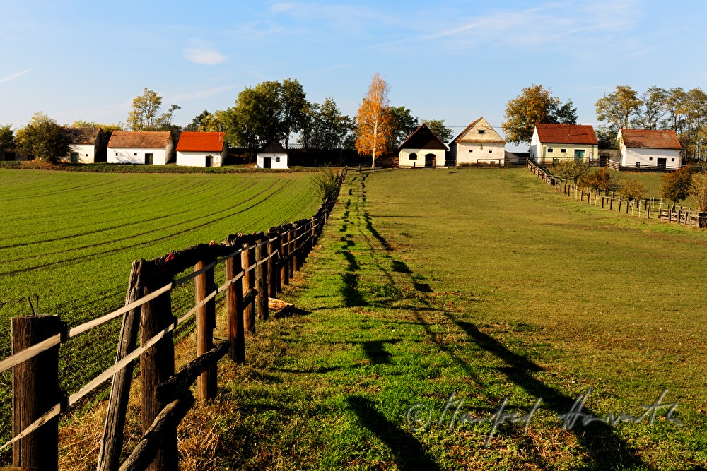 Weg durch eine Wiese und Weinkeller