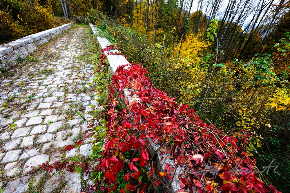 Steinbrücke zu Schloss Neuhaus