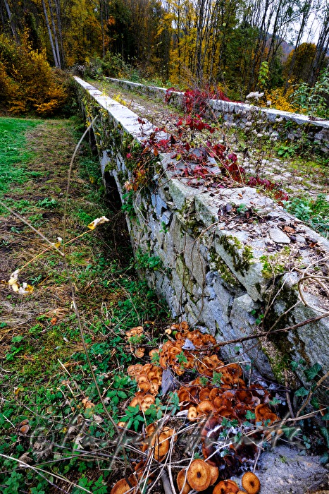 Steinbrücke zu Schloss Neuhaus