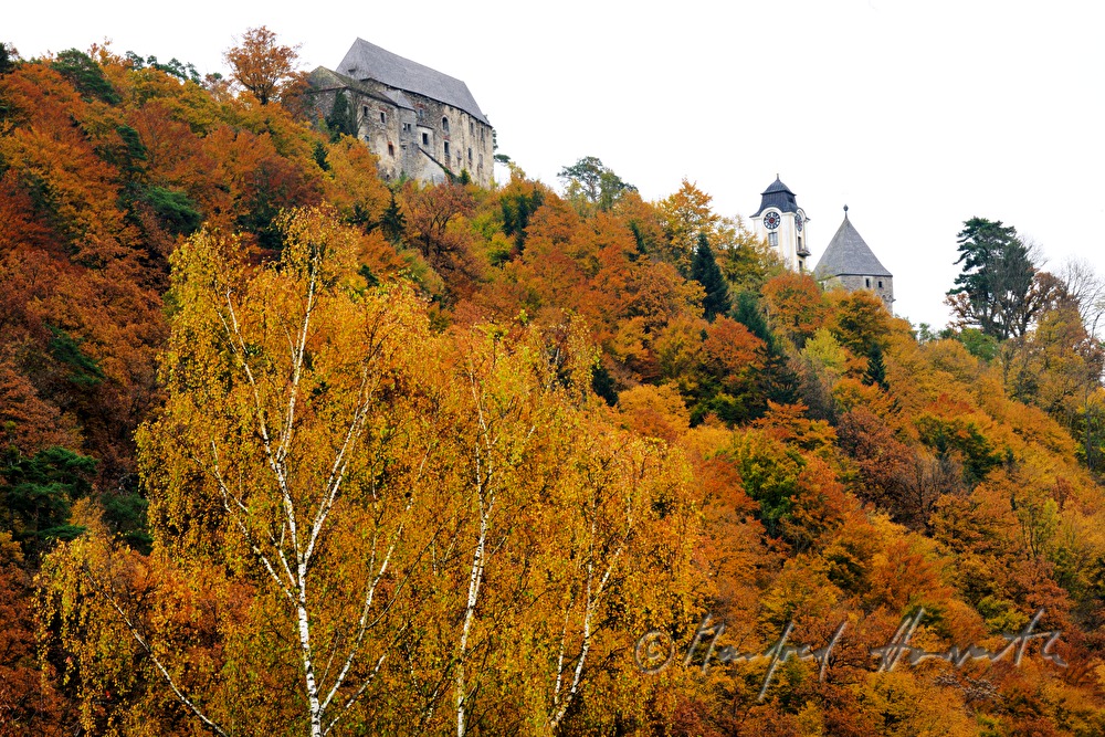 Schloss Neuhaus an der Donau am Schlossberg