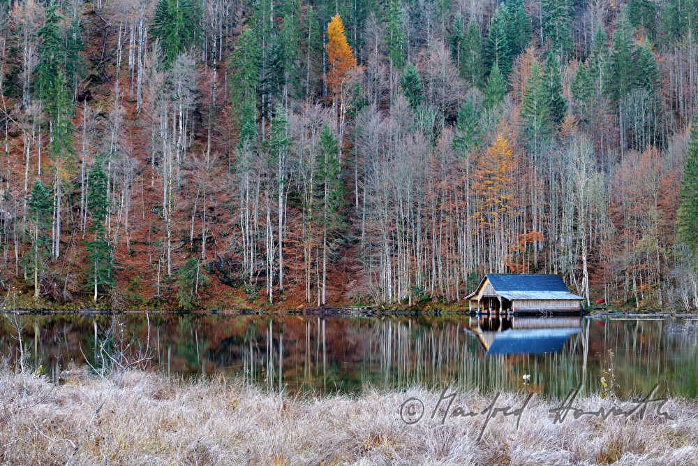 Mischwald und Bootshaus am Ufer