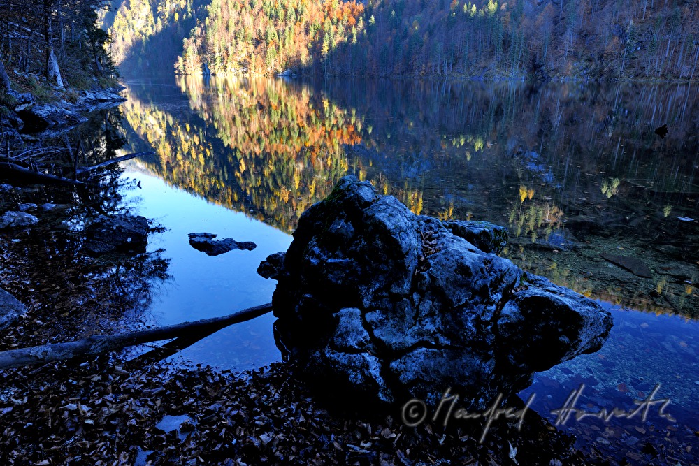Blick zum Süd-Ufer des Sees durch den Mischwald
