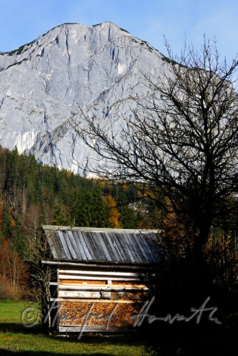 Holzscheune mit geschlichtetem Brennholz