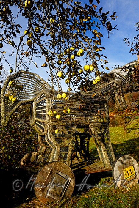Trojanisches Pferd im Obstgarten (Relikt vom Narzissenfest)