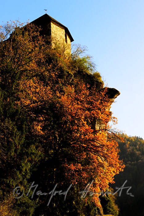 Blick von der Donau auf Schusterstein und Burg Werfenstein