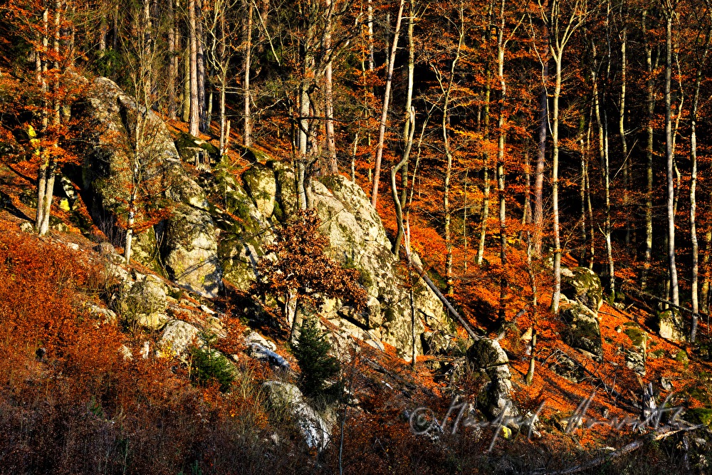 Granit-Findlinge auf einem Hang des Waldaist-Tales